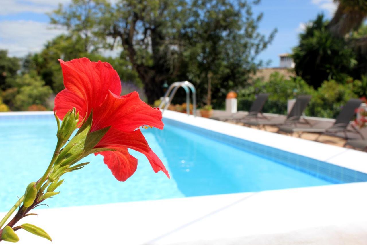 לואה B&B Pool Vue Suite In La Quinta מראה חיצוני תמונה